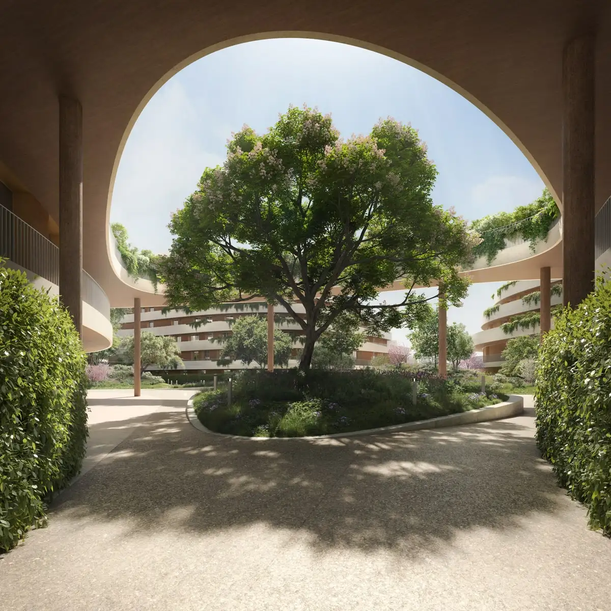 MyCityBari: La Corte Organica